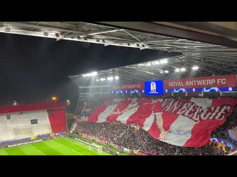 Tifo Toby Alderweireld | Antwerp FC - FC Porto
