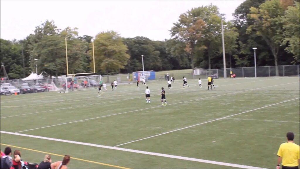 Hamilton United - Aurora  3:0  Stefan Mitrovic goal