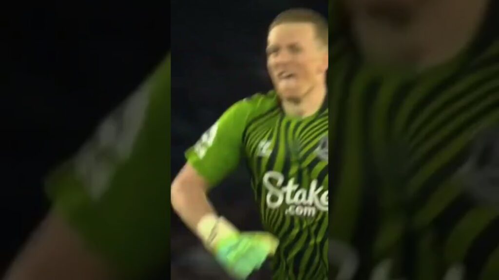 PICKFORD PENALTY SAVE VS LEICESTER #pickford #everton #premierleague #football #soccer #eng #shorts