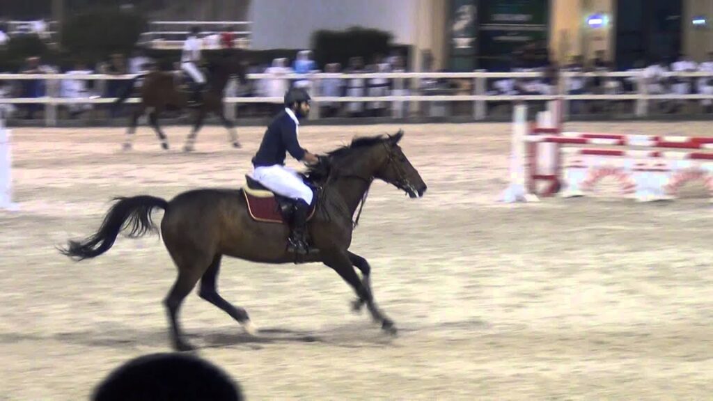 Abdulaziz Al Ajeel   Zamalia