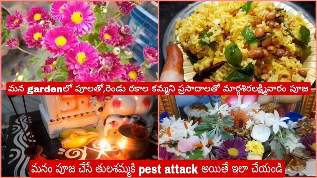 పూజించే తులశమ్మకి pest attack అయితే ఇలాచేయండి వెంటనే పోతుంది,Temple style pulihora,Paramannamrecipe