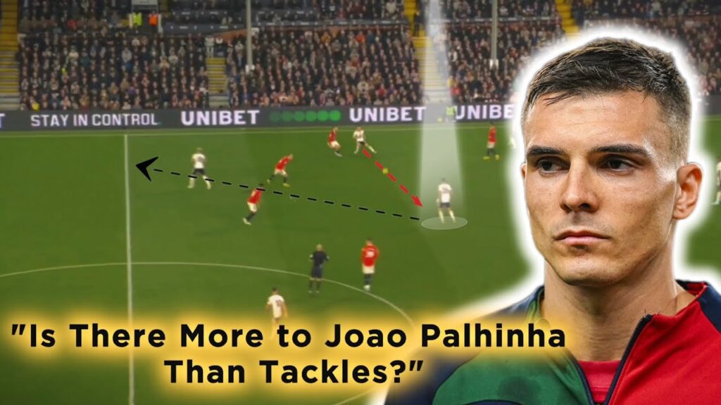 Joao Palhinha Player analysis ● Strengths-Weakness ● Skills ● Tackles HD  AFC CFC LFC