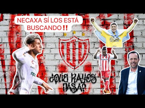 EL PINTOR José Luis Cuevas está en vivo