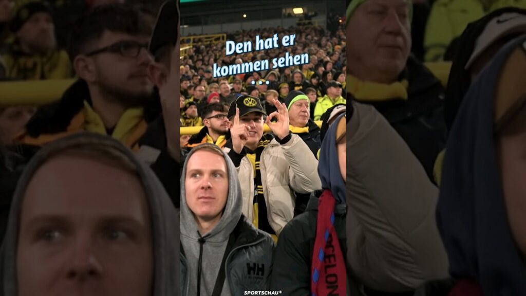 BVB-Fan sagt Freistoß-Tor voraus | Sportschau #shorts