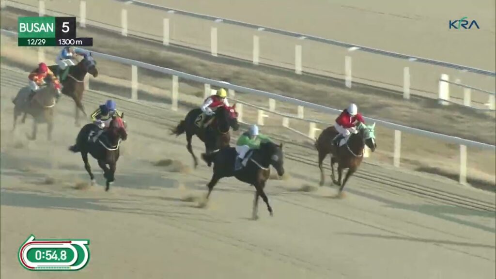 (Busan) 2023.12.29 R5 Class 5 (1300M) Handicap
