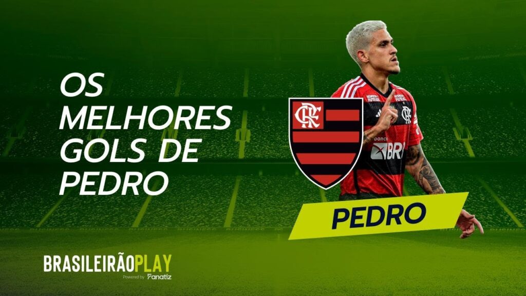 TOP 5 GOLES PEDRO | Pedro Artilheiro do Flamengo