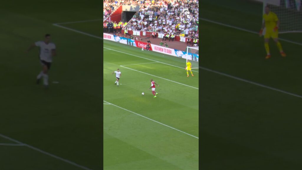 Mitrovic presses, wins the ball & scores!