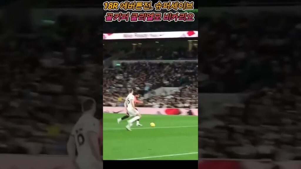토트넘 골키퍼 굴리엘모 비카리오.18R 에버튼전 슈퍼세이브! #비카리오 #Vicario #tottenham #football #soccer #shorts #토트넘