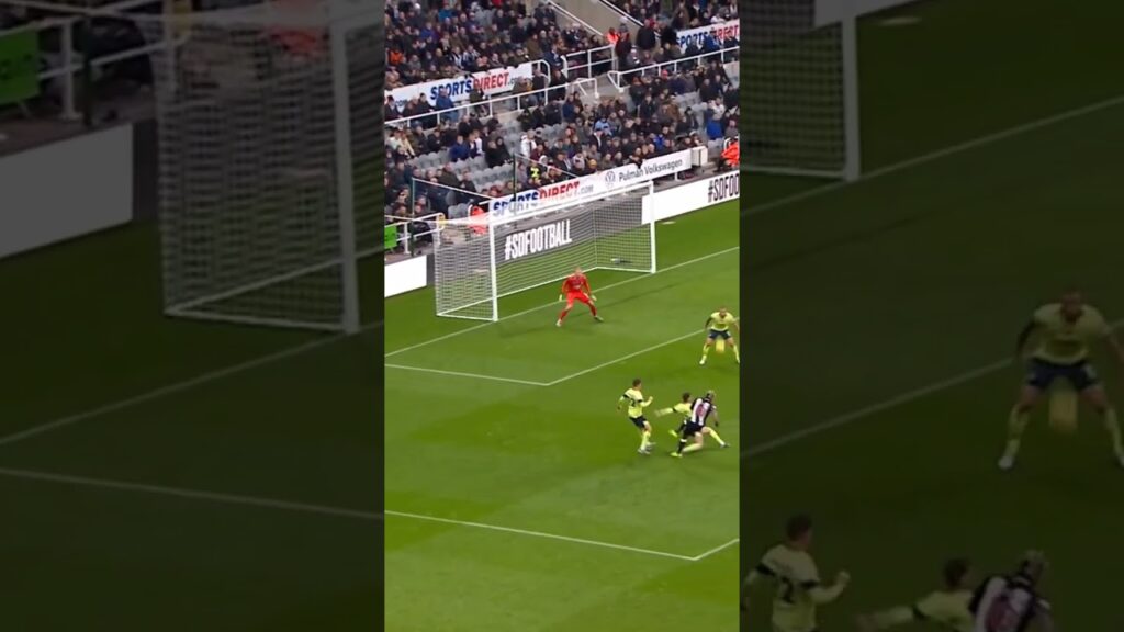 DeAndre Yedlin flying header for Newcastle