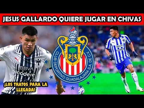 ✅🐐🔥INCREIBLE! ¿JESUS GALLARDO QUIERE JUGAR EN CHIVAS? LOS TRATOS PARA LA LLEGADA GUADALAJARA LIGA MX