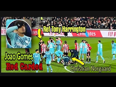 Joao Gomes red carded vs Brentford |Christian Norgaard injured vs Wolves | #brentford #wolves