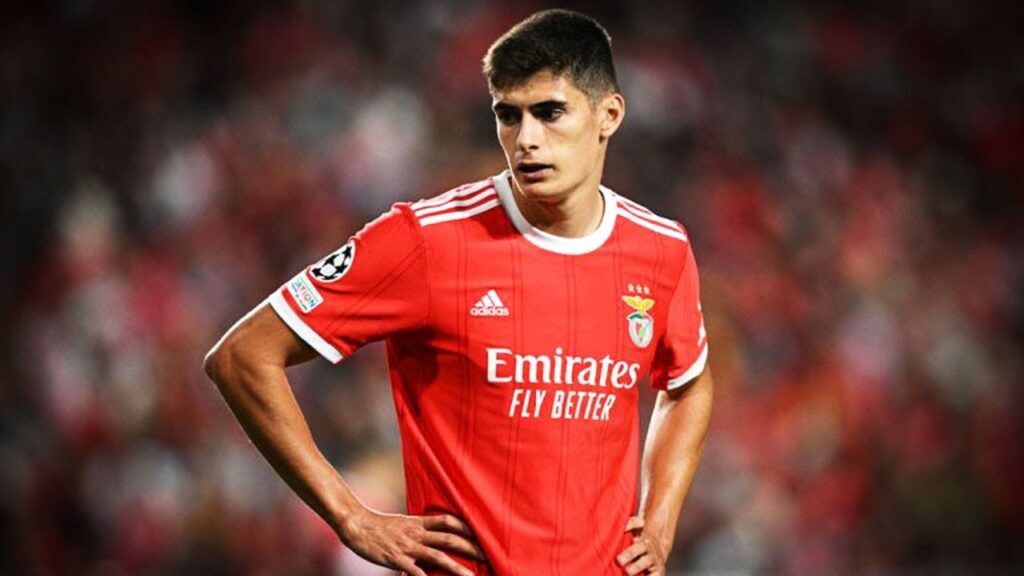 António Silva 2024 • Unreal Tackles, Skills & Passes | Benfica | HD