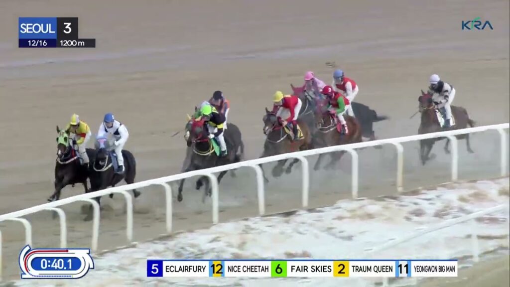 (Seoul) 2023.12.16 R3 Class 4 (1200M) Special Weight A