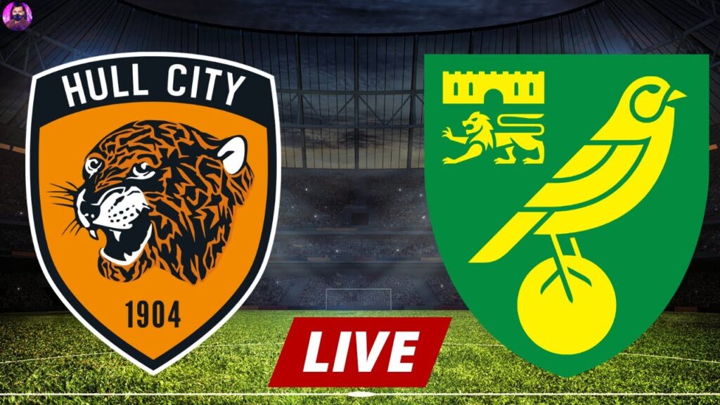 Hull City vs Norwich City Live | Championship 2024 | Full Match Today
