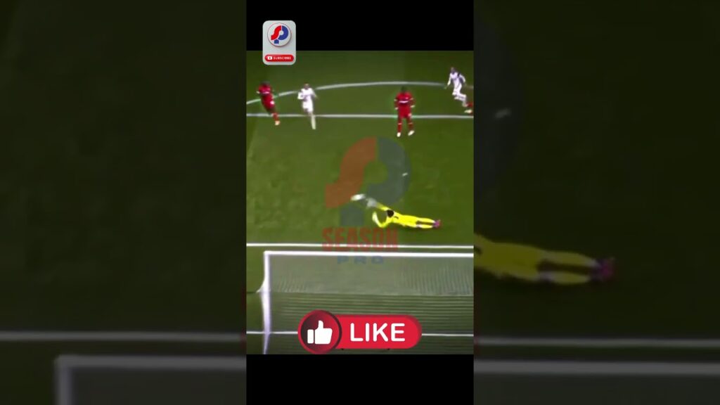 #shorts   #پرسپولیس   #tottenham  #beiranvand  #garethbale