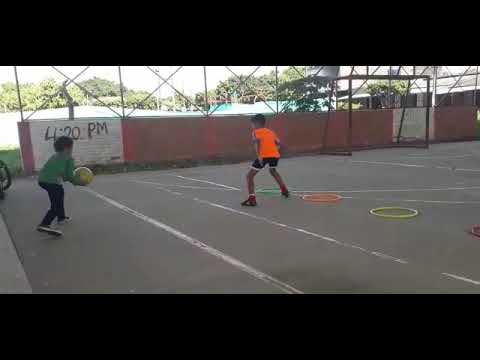 entrenamientos personalizados