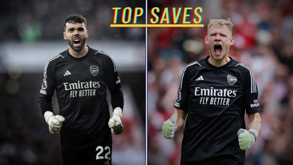 Aaron Ramsdale & David Raya | Top Saves!