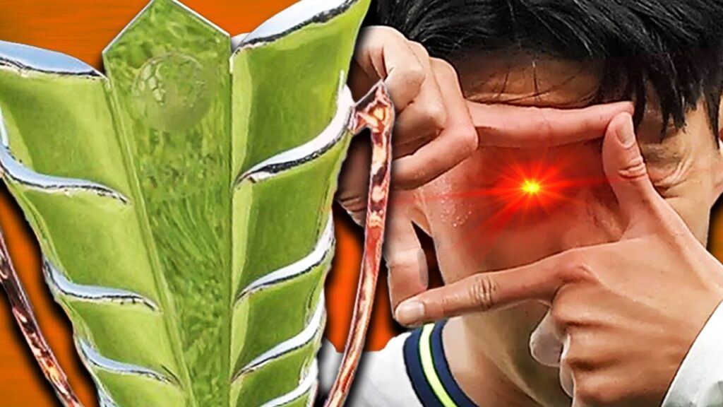 Who will Win the 2023 Asian Cup?