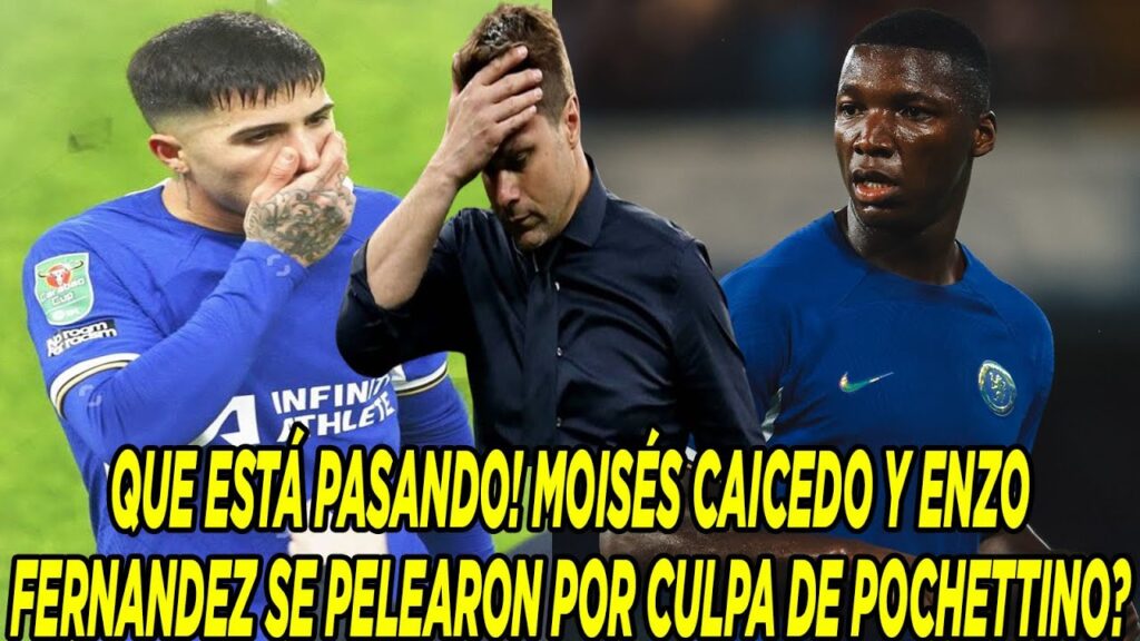 QUE ESTÁ PASANDO! MOISÉS CAICEDO Y ENZO FERNANDEZ SE PELEARON POR CULPA DE POCHETTINO?