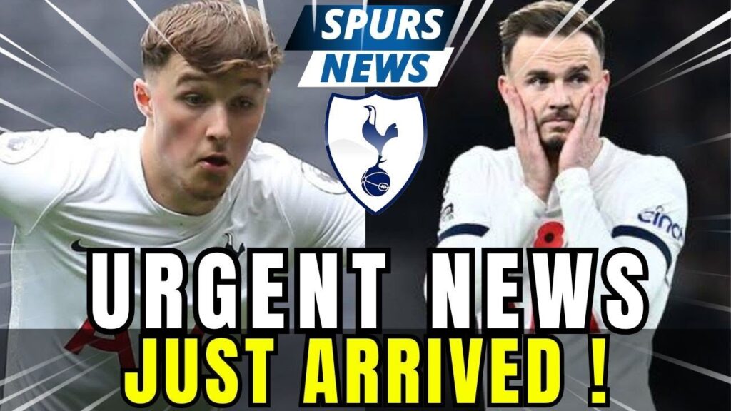🔵⚪ Great hopes'…alasdair Gold says Spurs youngsters can push Maddison next season / spurs News