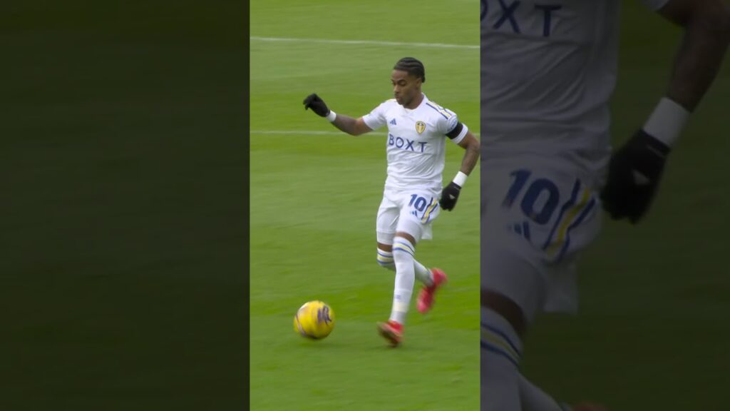 Beautiful Firpo cross = Dan James goal #lufc