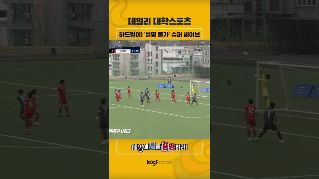 하드털이) ‘설명 불가’ 슈퍼 세이브😮