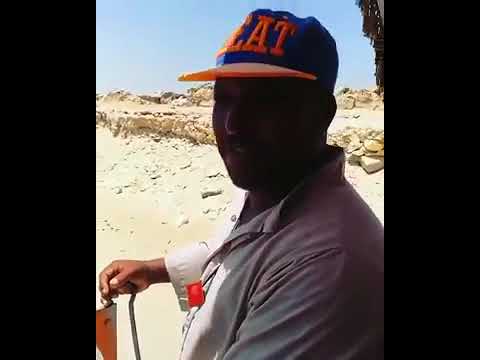 على معلول فى الاهرامات