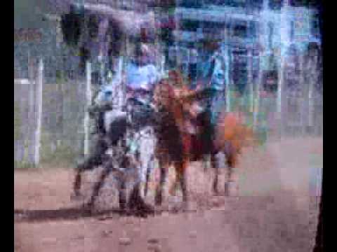 Daniel Lopes e Marcio - Parque Antônio Chacon - Espirito Santo/RN