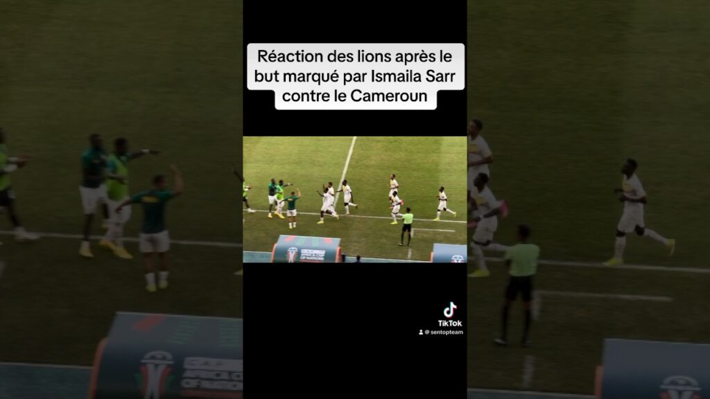 Réaction des lions du Sénégal après le but  marqué par Ismaila Sarr