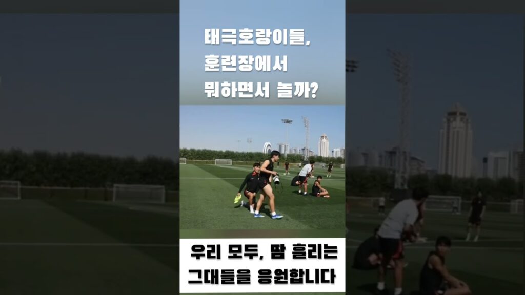 태극호랑이들 뭐하며 놀까? #아시안컵 #대한민국대표팀