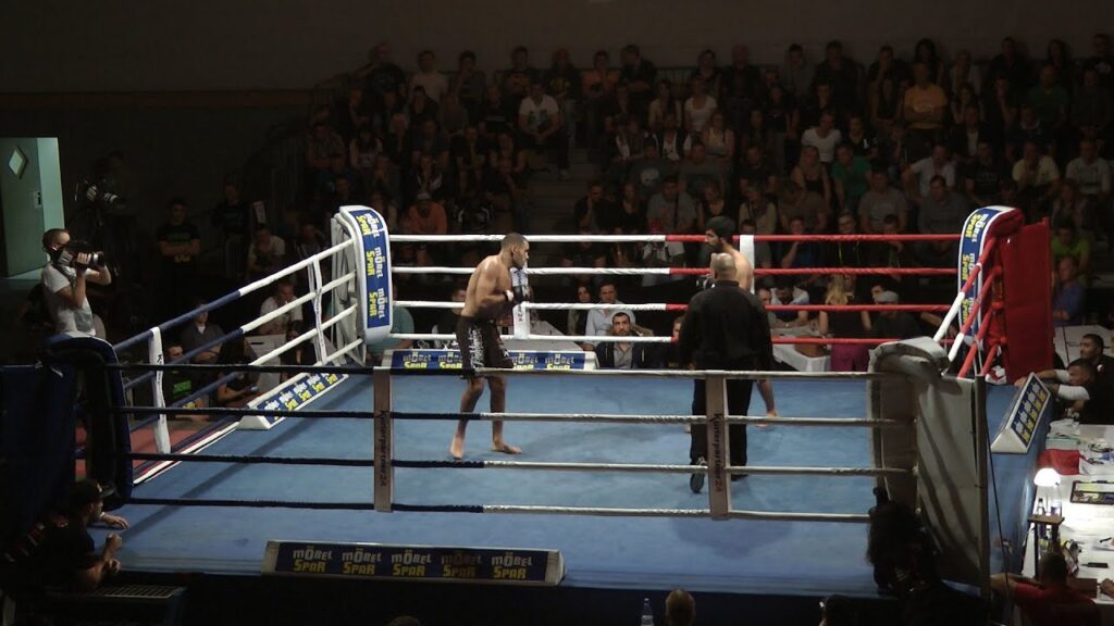 Samir Al Mansouri vs. Ali Hassan bei der 8. Merseburger Fight Night (3.10.2015) MMA Fight