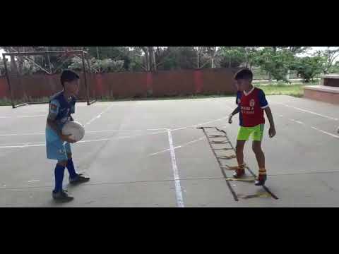 entrenamiento personalizado