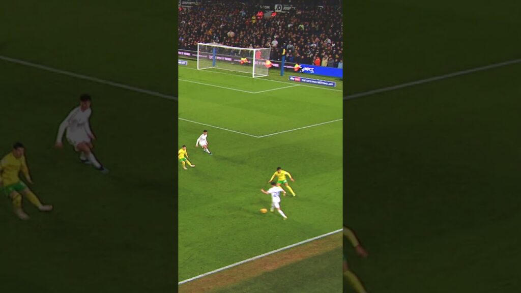 Rodon leads by example in defence #leedsunited