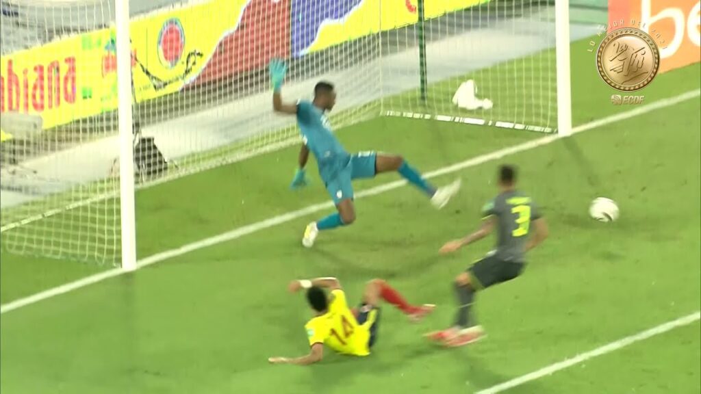 LAS MEJORES ATAJADAS DE ECUADOR | LO MEJOR DE LA TRI 2021