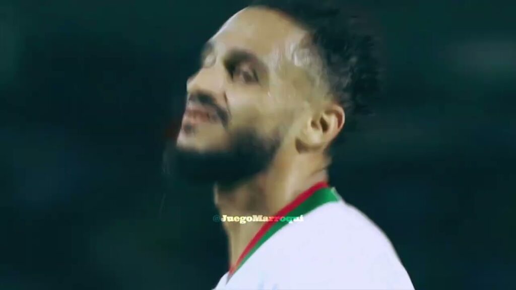 Sofiane Boufal vs Zambie