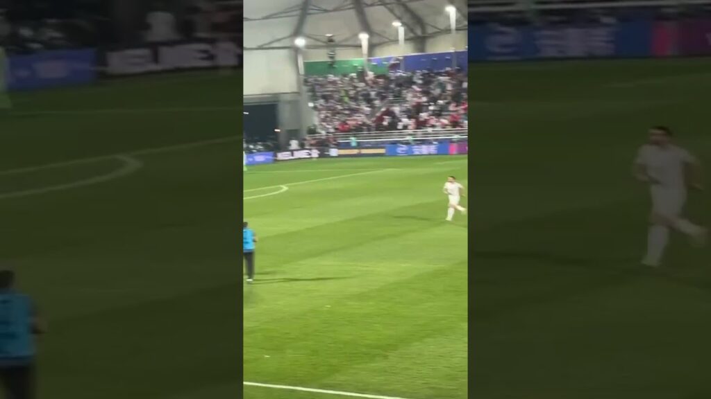 Hajsafi sends Iran to the Asian Cup quarterfinals! #asiancup #asiancup2023 #shorts #تیم_ملی