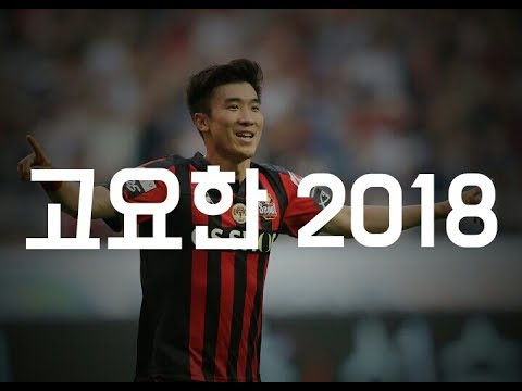 goyohan, small giant, skills and goals in FC seoul in 2018