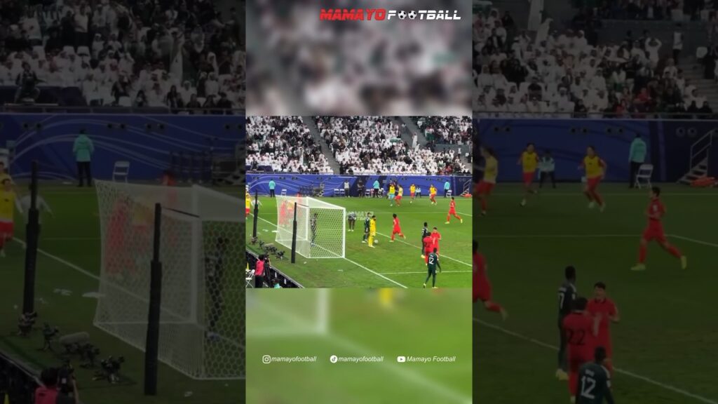 Selebrasi Gol Menit Akhir Korea Vs Saudi Arabia 1-1. Gol Cho Gue Sung Menit 90+9 Selamatkan Korea