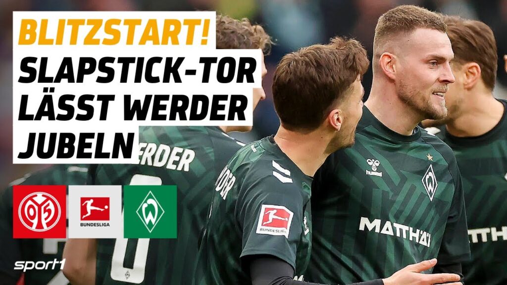 1. FSV Mainz 05 - SV Werder Bremen | Bundesliga Tore und Highlights 20. Spieltag