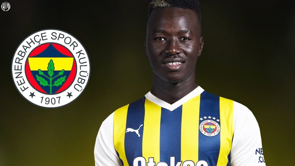 Pape Gueye – Welcome to Fenerbahce? 2024 – Best Skills Show | HD Pape Gueye - Welcome to Fenerbahce? 2024 - Best Skills Show | HD