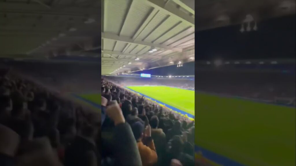 Ipswich Town Fans Celebrate Jeremy Sarmiento Equaliser vs Leicester City in 1-1 Draw 😂