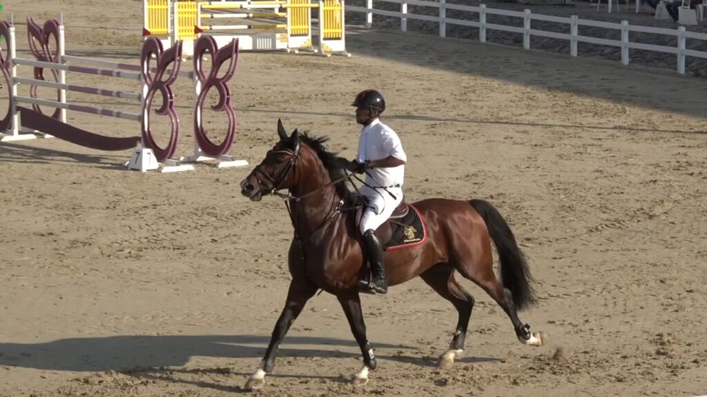 2nd Place for Mohammed Al Owais with Tsunami.