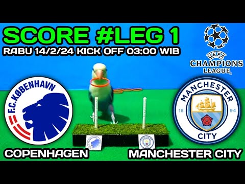 ERLING HAALAND‼️MANCHESTER CITY VS COPENHAGEN || UEFA CHAMPIONS LEAGUE 16 BESAR || PREDIKSI RATU UCL