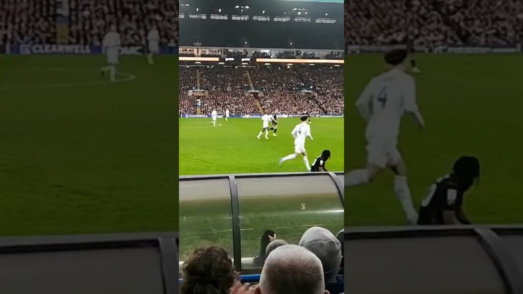 Leeds United Ethan Ampadu, Mr versatile, get into em !! #leedsunited #football #lufc #championship