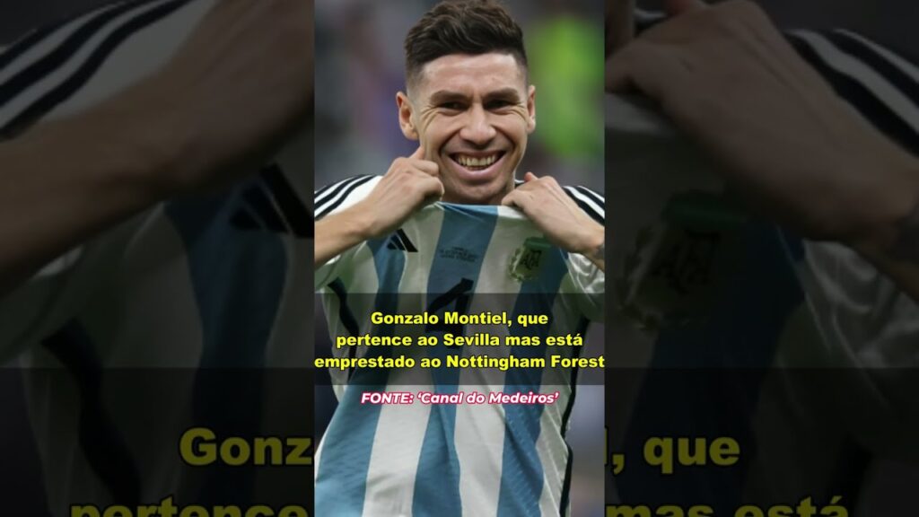 PALMEIRAS FAZ OFERTA POR WILLIAN JOSÉ, BOTAFOGO QUER GONZALO MONTIEL, VEGETTI E+| MERCADO DA BOLA