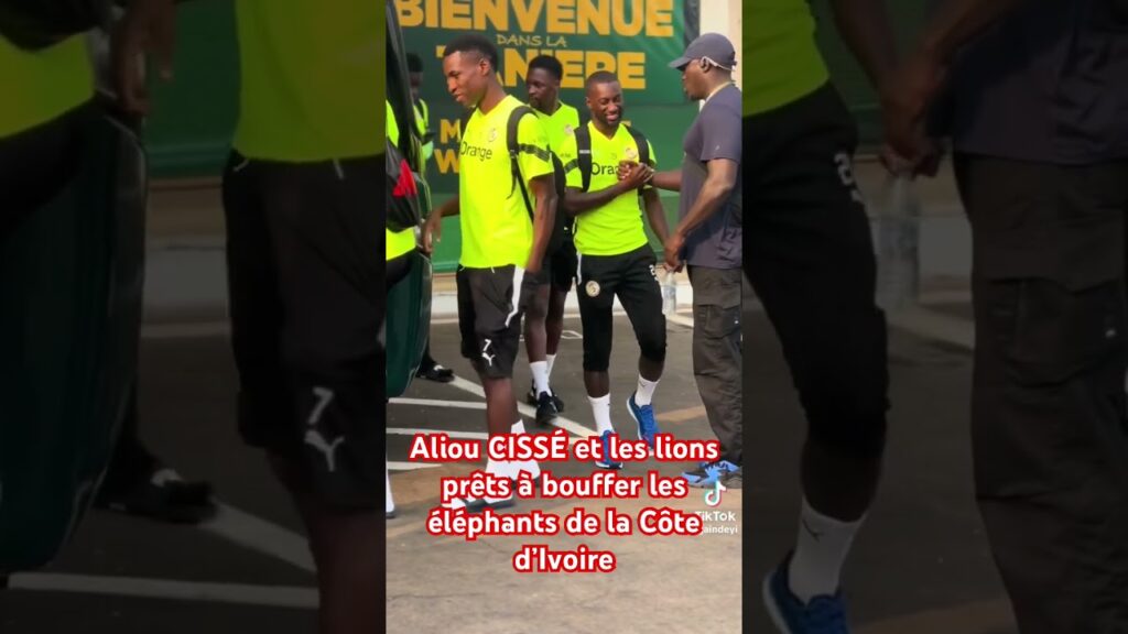Aliou CISSÉ et les lions prêts à bouffer les éléphants de la Côte d’Ivoire