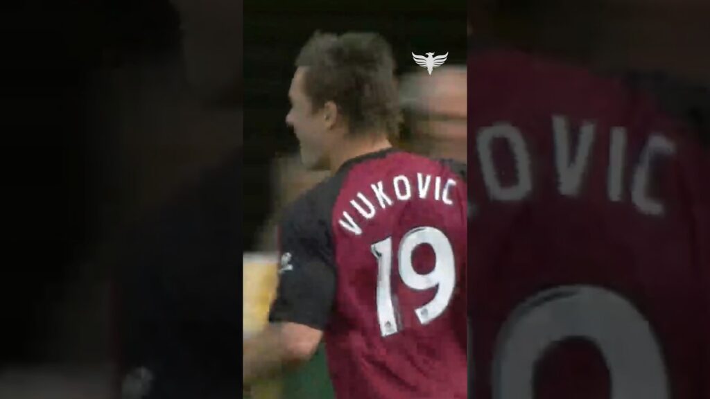 #OnThisDay in 2011 former WPX GK Danny Vukovic scored this goal 🤩 #football #wellingtonnz #aleague