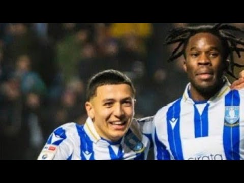 Sheffield Wednesday vs Birmingham City 2-0 Ike Ugbo score to earn win for Sheffield Match recap