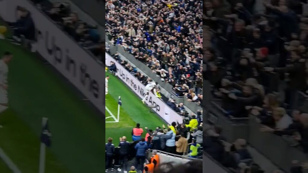 PAPE MATAR SARR CELEBRATING AFTER SCORING SPURS' FIRST GOAL! Tottenham 2-1 Brighton