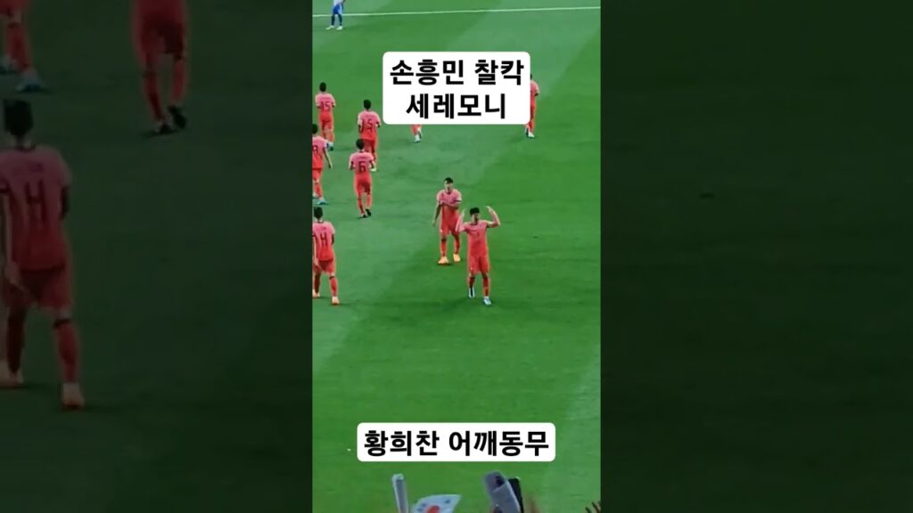 손흥민 세레모니 & 황희찬 어깨동무  #손흥민 세레모니 #손흥민 #황희찬 #국가대표 #직캠 #정우영 #국대축구 #A매치 #shorts